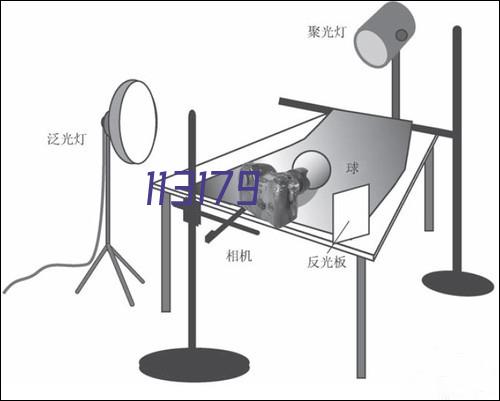 在日益激烈的竞争中，电动越野搬运车为施工单位提供了新的竞争优势。