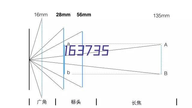 马莱雅流心酥ML21291