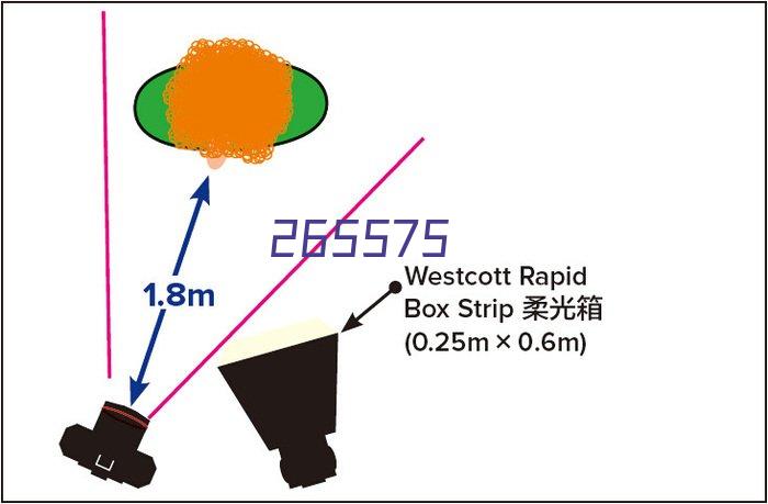 大理石八头高速飞拍贴片机 BV-F860S（飞拍