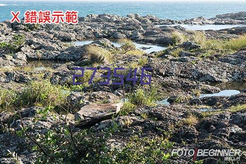 吸油烟机--厨卫电器生产厂家,厨卫电器设备,厨卫电器价格