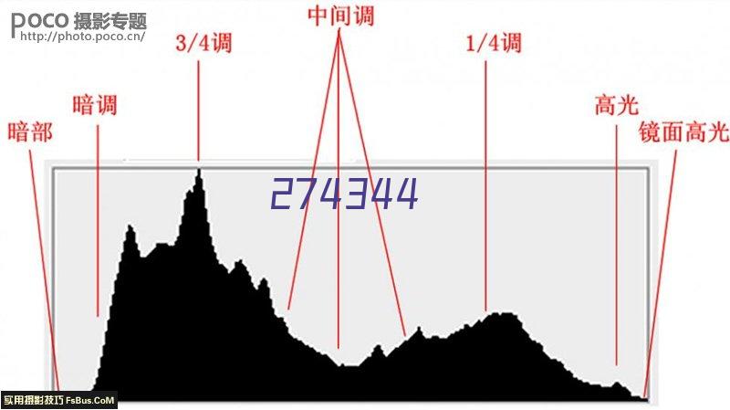 山东京博石油化工有限公司