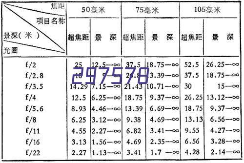 一条小姣姣