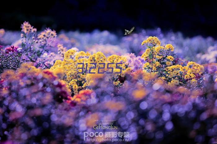 纽曼液晶画板手写电子版S120