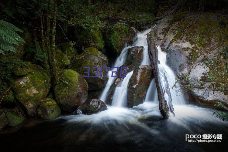 椰油酰两性基二乙酸二钠