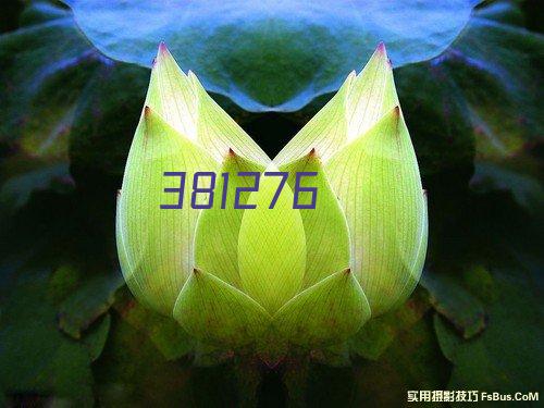 幻灯二