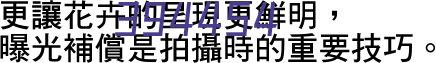 夢幻西遊：中秋活動之四海共團圓小攻略，輕鬆殺怪、獎勵多多！