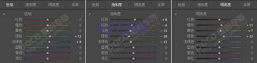 汉王（Hanvon）HW-7480WA馈纸式高速档案扫描仪A3幅面办公文档快速扫描80ppm/160ipm（A3）