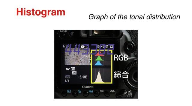 尊和轩碧螺春2021新茶浓香型礼盒装茶叶散装罐装500g绿茶