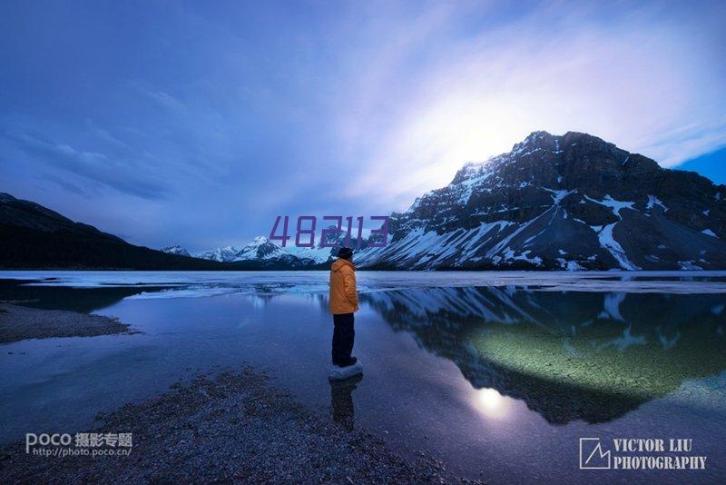 瑞德 9件套家用车载保险房地产礼品组合组套 五金工具箱套装批发