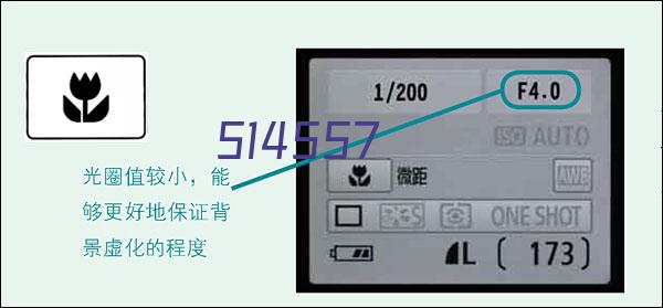 定期体质监测及个性化运动处方