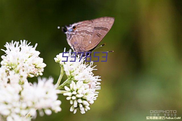 湖北浠水策湖国家湿地公园概念性规划及核心区景观设计