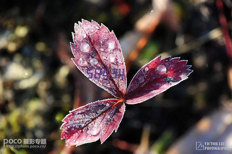 美仕达颈椎仪+普通水杯夏季套装