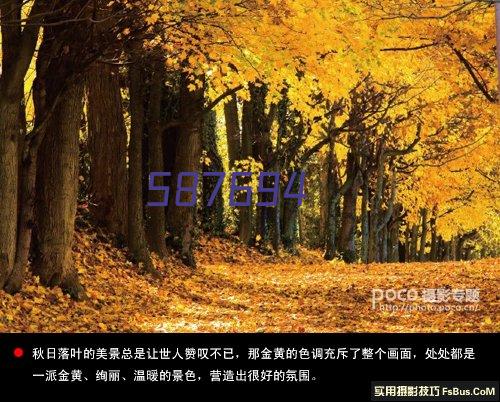 第十五届优秀企业家/品融控股集团有限公司董事长邱娣兵