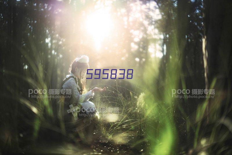 >乐活天章A570G复印纸8包/4000张