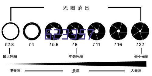 粉制品类