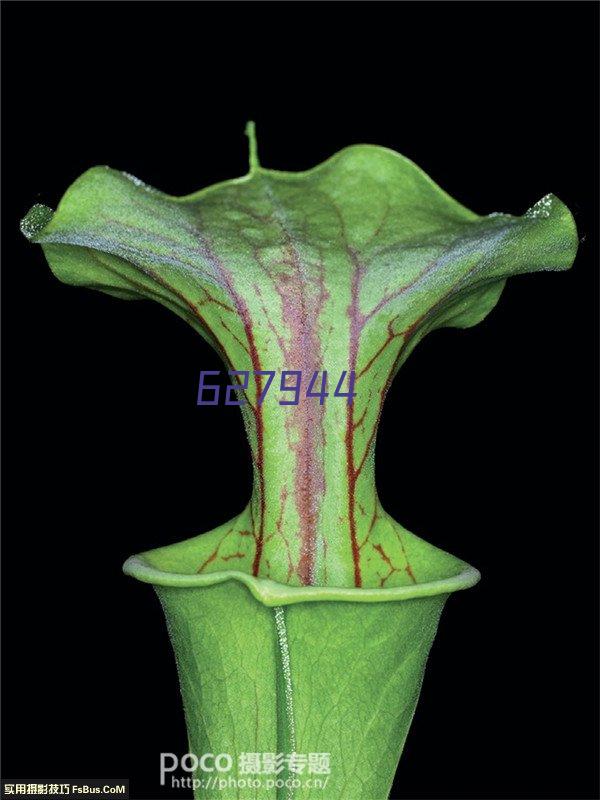 得力(deli)φ95mm圆形塑壳秒干印台印泥 办公用品 红色9870（新老包装混发）