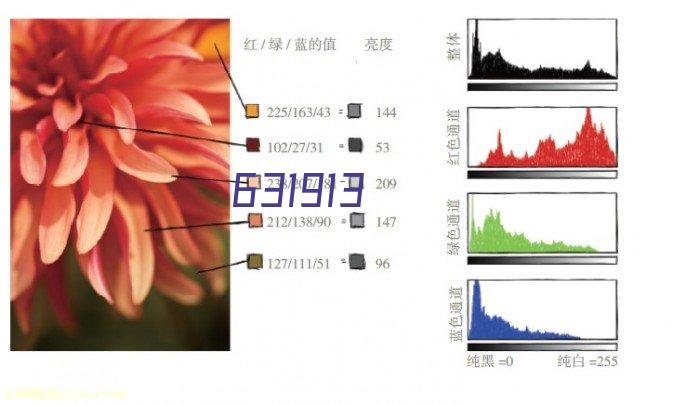 一种去除石化工业废气中苯系物的处理方法