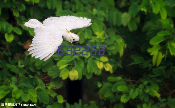 【中医】冬病夏治三伏贴