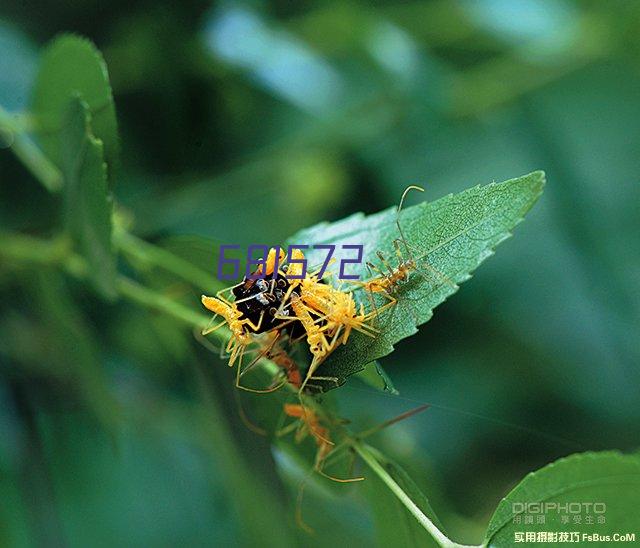 舍利是什么？探寻佛教宝贵遗物的真相