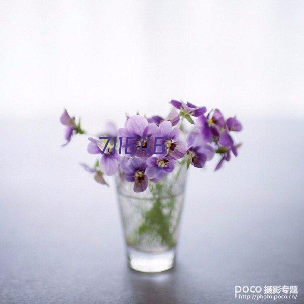 山茶花