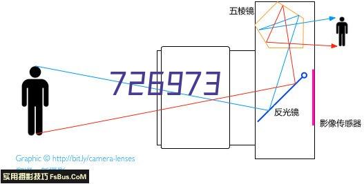 保镖公司解说散打要点！