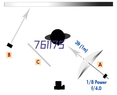 motionleap 免费版