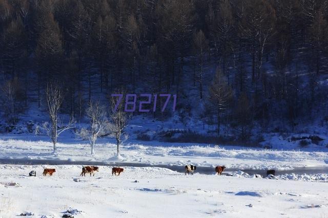 德行立身守初心，责任与爱铸师魂——衡阳市华新实验中学全面从严治党推进会暨师德师风警示教育大会