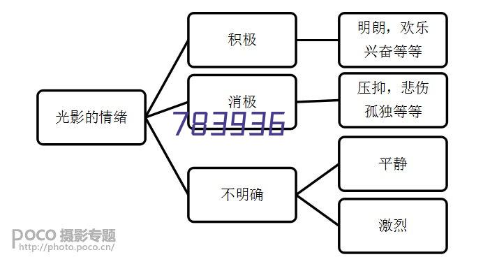 官方：中国足协 哈兰德父亲