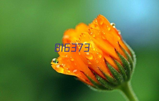 雷州风筝节