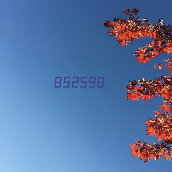 ZQ-N33YS户外动画星空灯