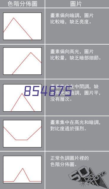 Carbide inlay