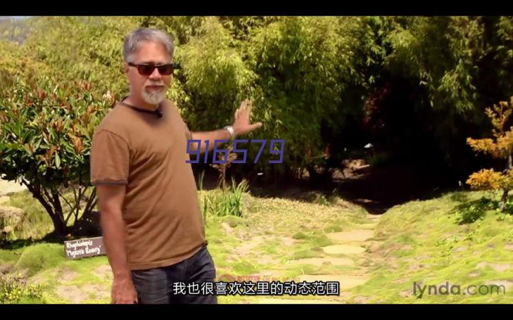 索尼（SONY）ZV-E10L Vlog微单数码相机 标准镜头套装 APS-C画幅小巧便携 4K专业视频 黑色