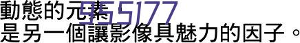 中共中策橡胶（天津）有限公司第一次全体党员大会胜利召开