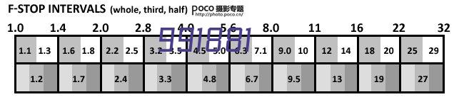 T9000A装载机电子秤