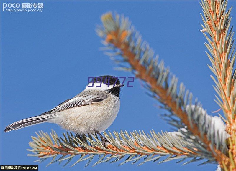 道恒涉密信息智能监控平台